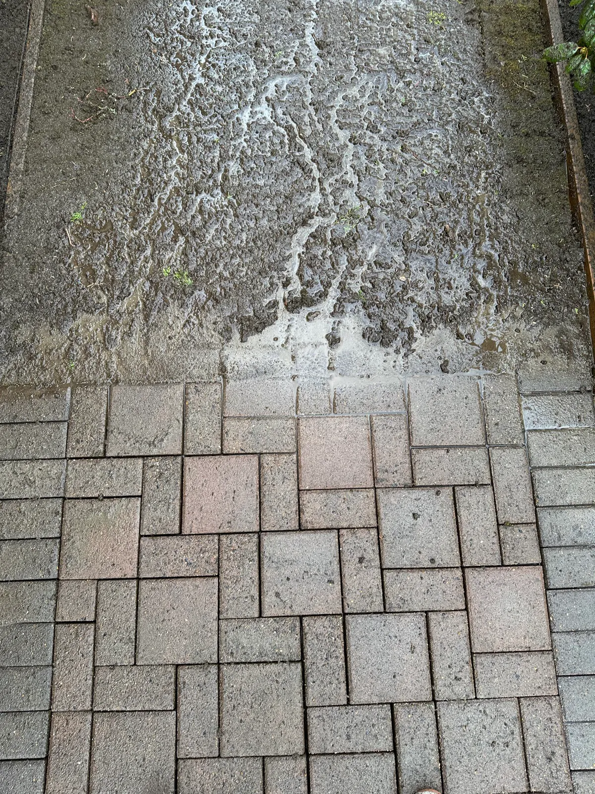 Paver walkway half-cleaned: dark sludge on the upper pavers, clean pavers below the wash line
