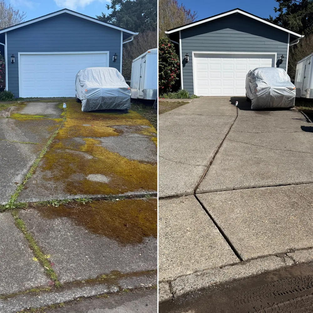 Before and after driveway moss removal in Portland