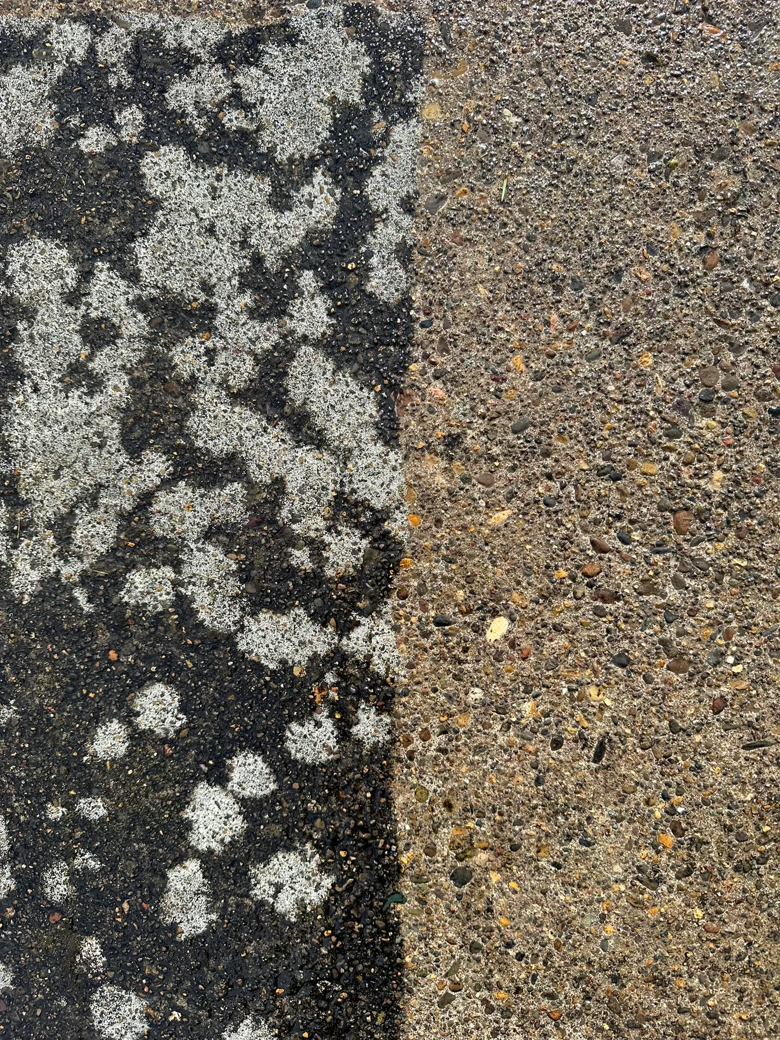 Driveway pressure washing in progress in Portland, OR — moss-covered asphalt transitioning to clean concrete in one continuous shot