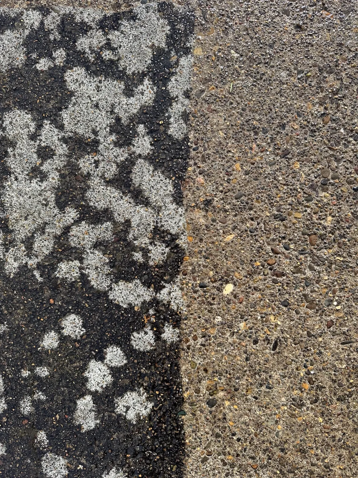 A sharp clean line across an aggregate driveway: black lichen on one side, clean concrete on the other