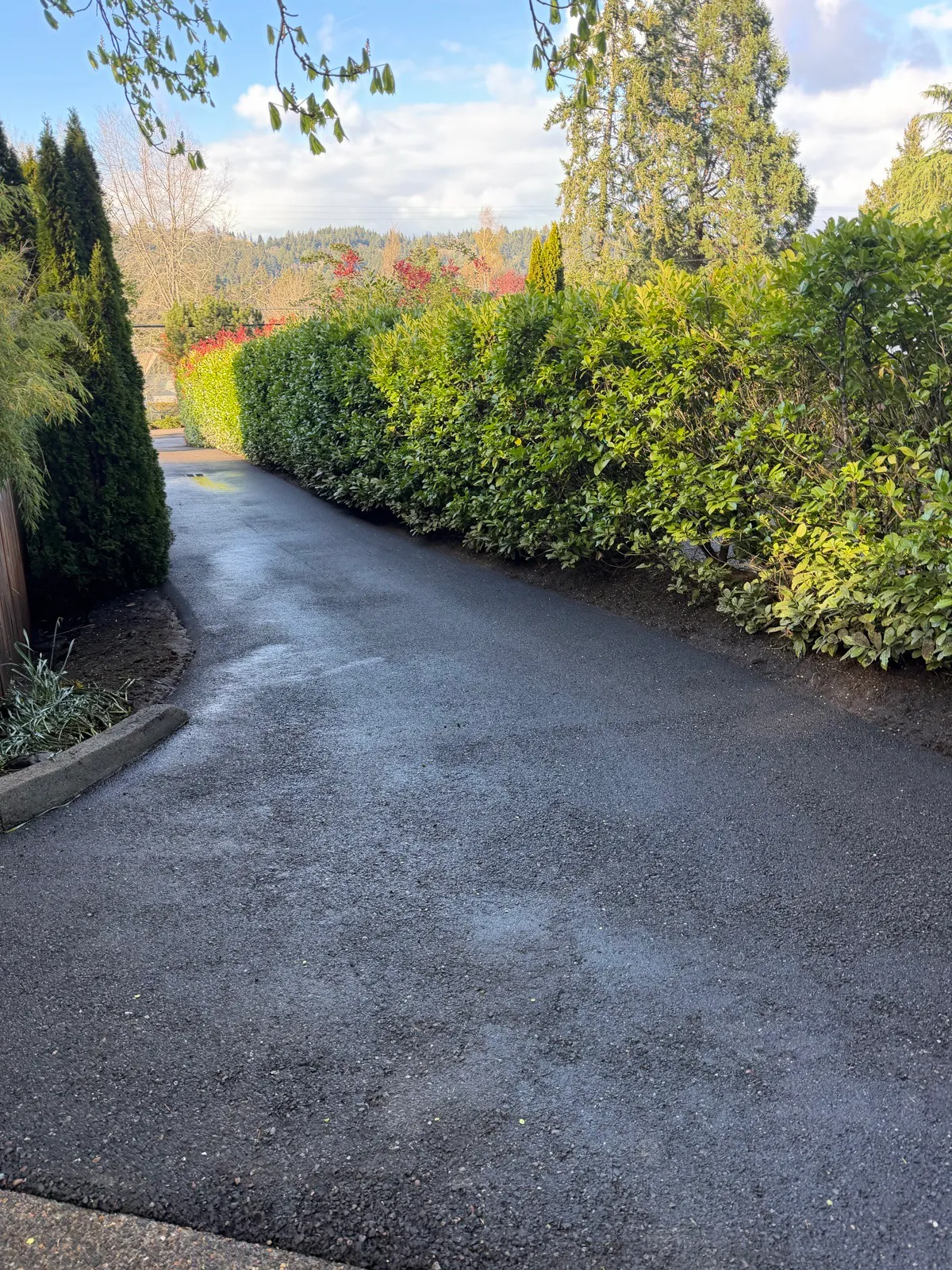 Clean driveway curving between hedges with hills in the distance