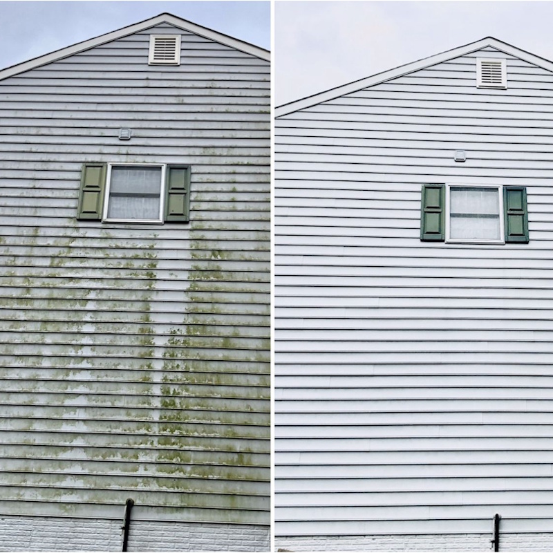 Soft wash house washing removing green algae from vinyl siding on a Portland, Oregon home