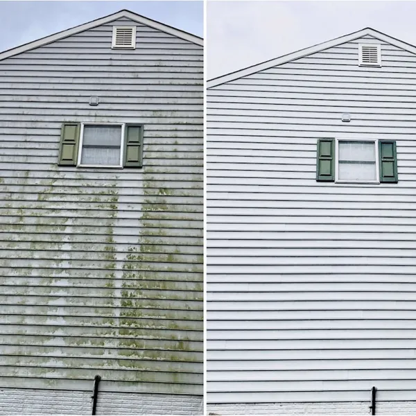 House washing service removing green algae from siding in Portland, Oregon