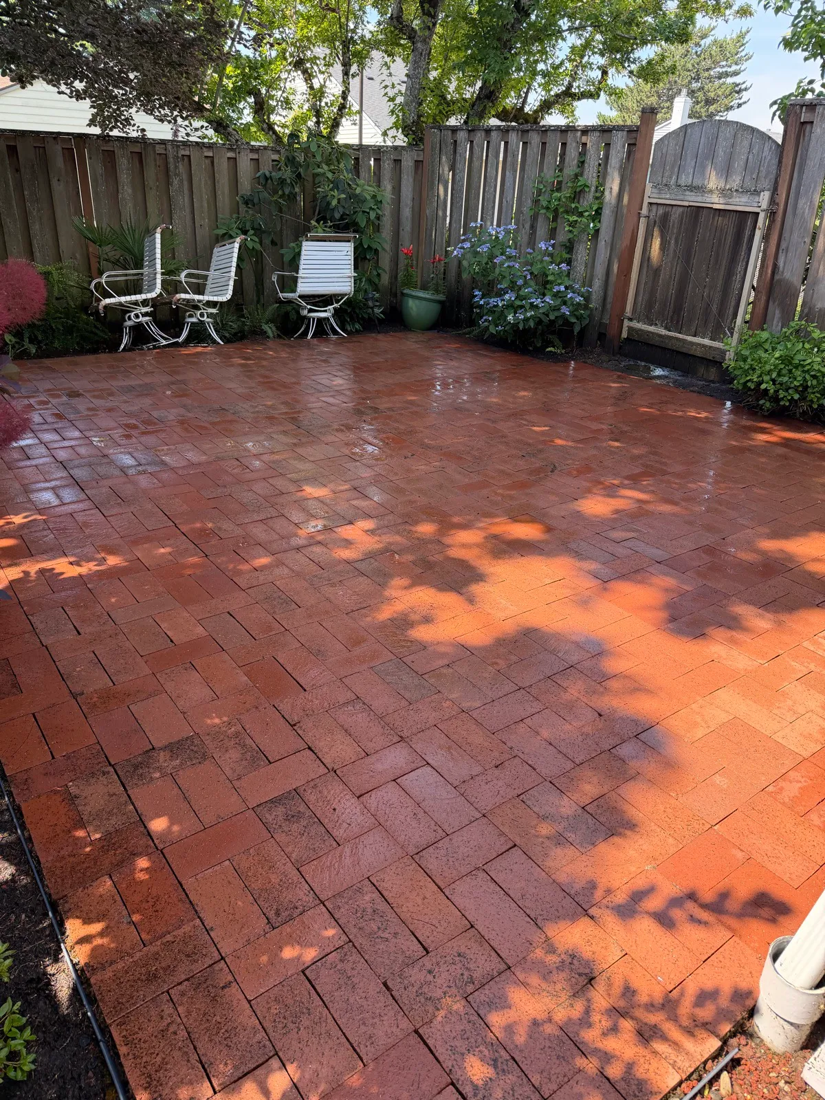 Brick paver patio pressure washed back to bright red brick