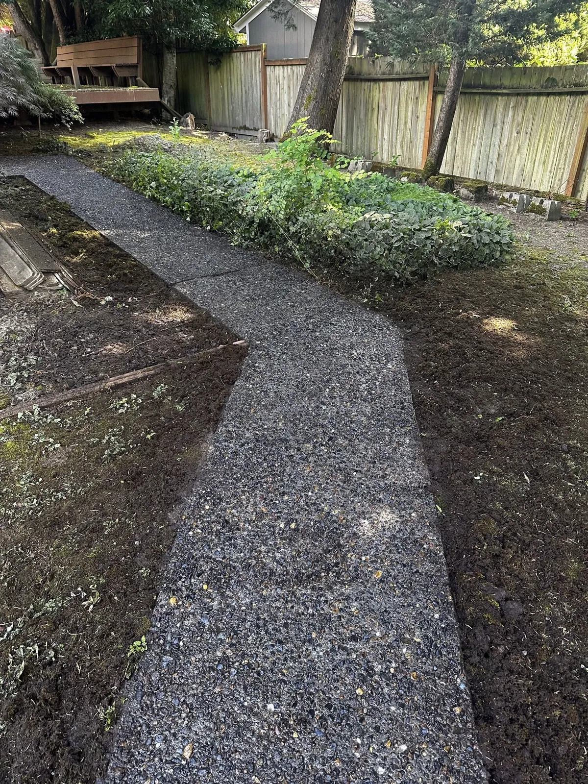 Backyard concrete path uncovered from under moss