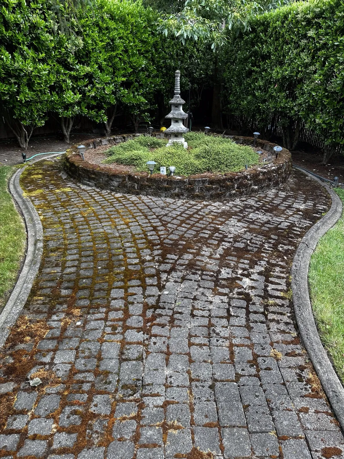Before: curved paver walkway around a garden bed, choked with moss