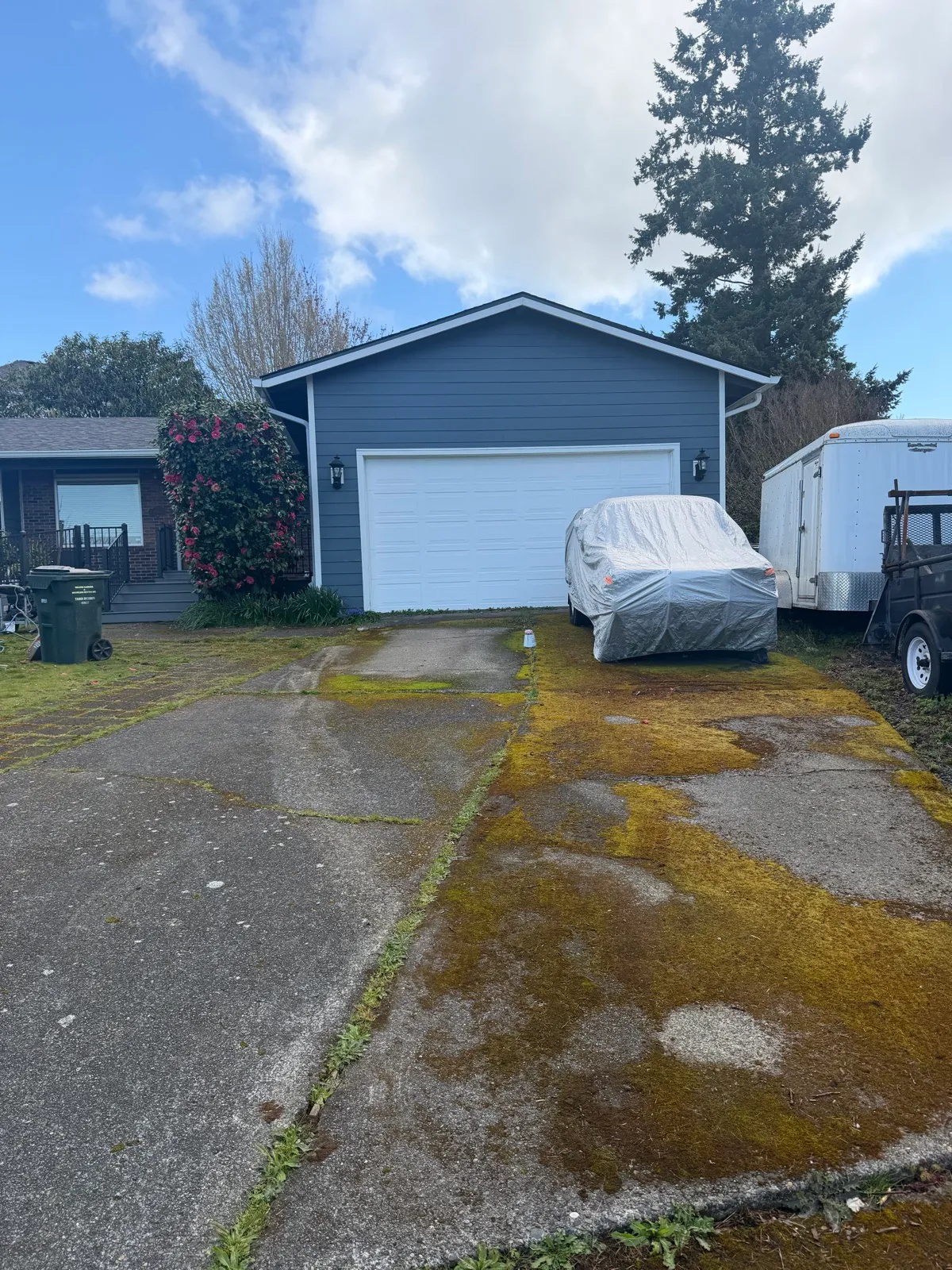 Before: concrete driveway blanketed in orange and green moss in front of a garage