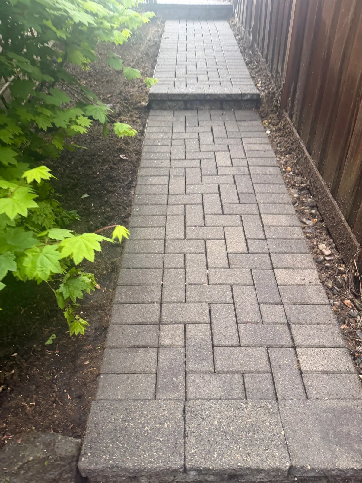 Herringbone paver path with clean pavers and joints along a cedar fence