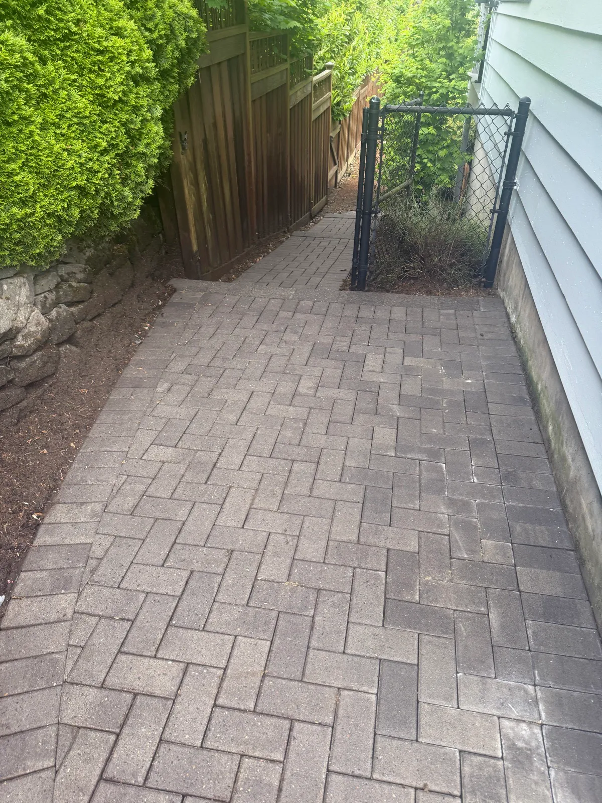 Side-yard herringbone pavers fully clean beside lap siding